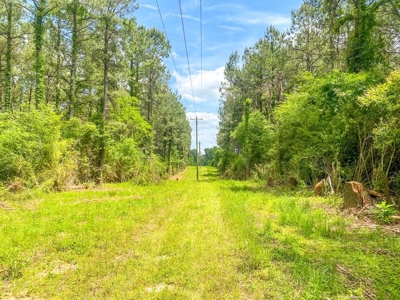 238 Acres Hunting/Recreational Land for Sale Pike County MS - image 40