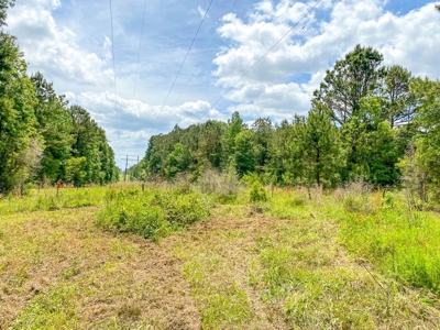 238 Acres Hunting/Recreational Land for Sale Pike County MS - image 27