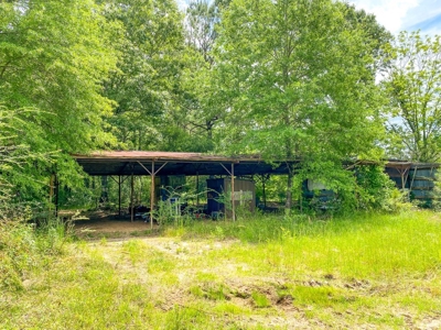 238 Acres Hunting/Recreational Land for Sale Pike County MS - image 10