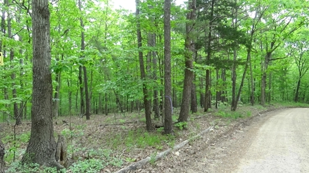 Wayne County Missouri Land For Sale - image 6