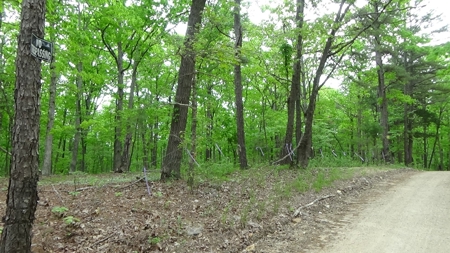 Wayne County Missouri Land For Sale - image 5
