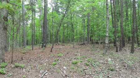 Wayne County Missouri Land For Sale - image 4