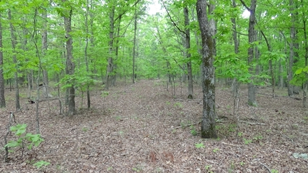 Wayne County Missouri Land For Sale - image 8