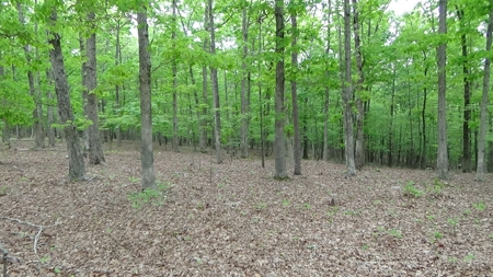 Wayne County Missouri Land For Sale - image 9