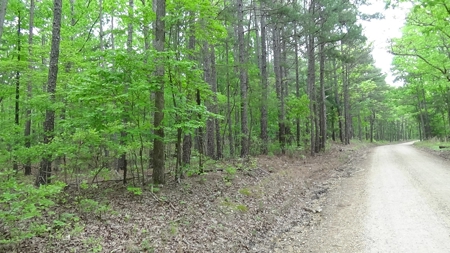 Wayne County Missouri Land For Sale - image 1