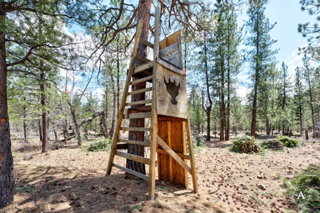 Craig Montana Trout Fishing Property For Sale, MT Mountains - image 4