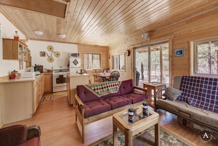Craig Montana Trout Fishing Property For Sale, MT Mountains - image 28