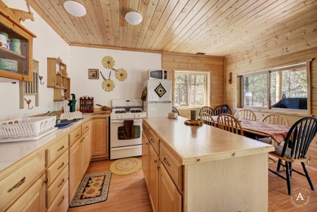 Craig Montana Trout Fishing Property For Sale, MT Mountains - image 31