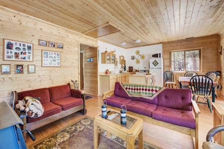 Craig Montana Trout Fishing Property For Sale, MT Mountains - image 29