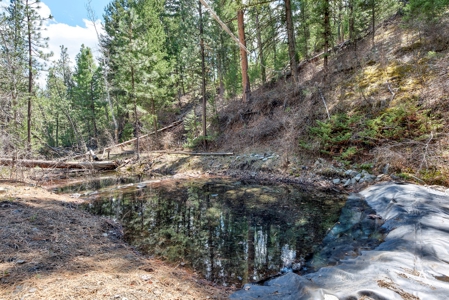 Craig Montana Trout Fishing Property For Sale, MT Mountains - image 8