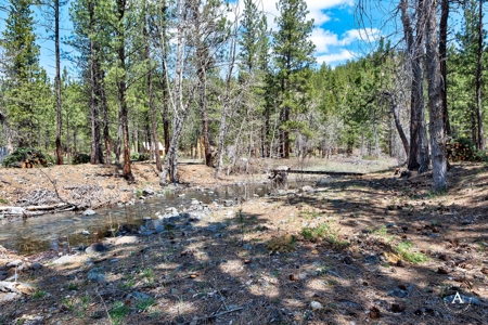 Craig Montana Trout Fishing Property For Sale, MT Mountains - image 9