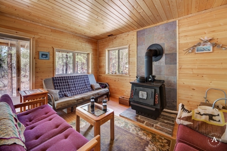 Craig Montana Trout Fishing Property For Sale, MT Mountains - image 27