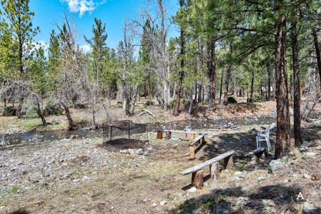 Craig Montana Trout Fishing Property For Sale, MT Mountains - image 12