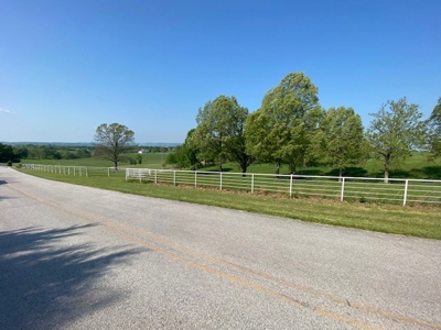 Land For Sale with Pond & Paved Road Frontage Harrison, Ar - image 3
