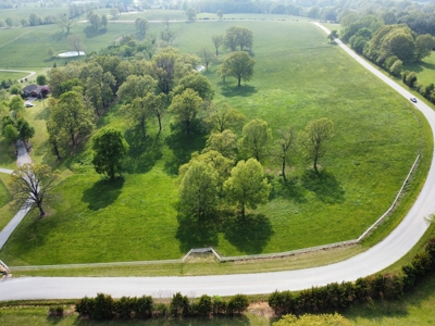 Land For Sale with Pond & Paved Road Frontage Harrison, Ar - image 1