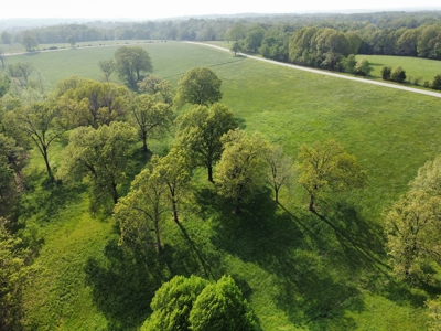 Land For Sale with Pond & Paved Road Frontage Harrison, Ar - image 4
