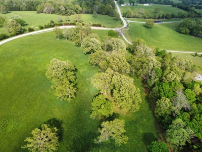 Land For Sale with Pond & Paved Road Frontage Harrison, Ar - image 7