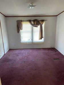 Chowan County County Home On 2.28 +/- Acres-Auction Property - image 7