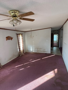 Chowan County County Home On 2.28 +/- Acres-Auction Property - image 10