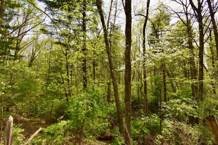 Pine Lake Camping & Recreational Property - image 13