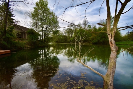 Pine Lake Camping & Recreational Property - image 7