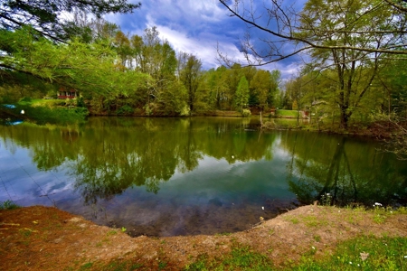Pine Lake Camping & Recreational Property - image 8