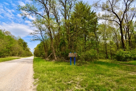 Pine Lake Camping & Recreational Property - image 3