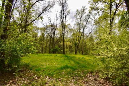 Pine Lake Camping & Recreational Property - image 5