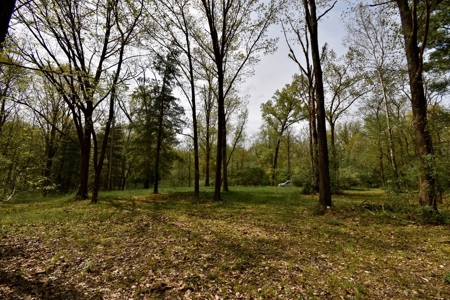 Pine Lake Camping & Recreational Property - image 9