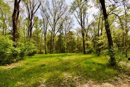 Pine Lake Camping & Recreational Property - image 6