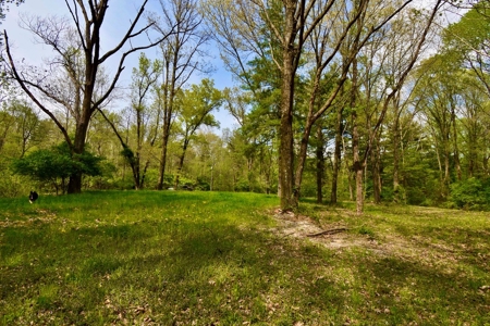 Pine Lake Camping & Recreational Property - image 4