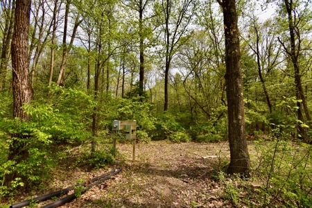 Pine Lake Camping & Recreational Property - image 10