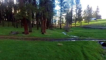 Build Ready Land for Sale in Cottonwood, Idaho! - image 2