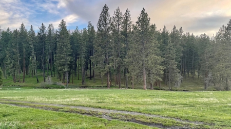 Build Ready Land for Sale in Cottonwood, Idaho! - image 24