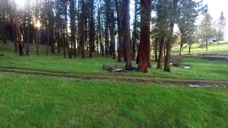Build Ready Land for Sale in Cottonwood, Idaho! - image 1