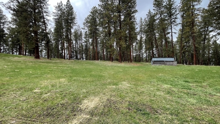 Build Ready Land for Sale in Cottonwood, Idaho! - image 12