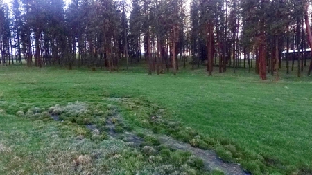 Build Ready Land for Sale in Cottonwood, Idaho! - image 4