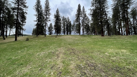 Build Ready Land for Sale in Cottonwood, Idaho! - image 11