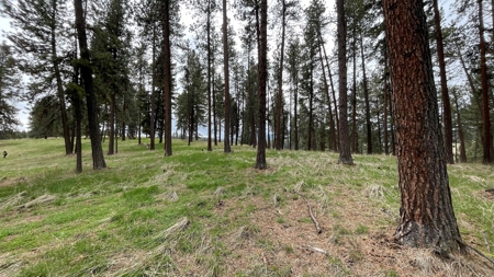 Build Ready Land for Sale in Cottonwood, Idaho! - image 18