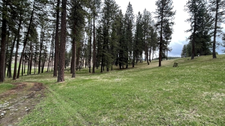 Build Ready Land for Sale in Cottonwood, Idaho! - image 10