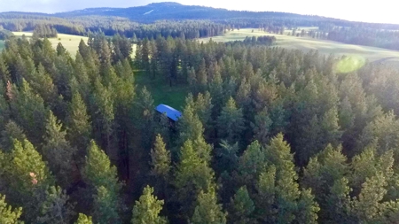Build Ready Land for Sale in Cottonwood, Idaho! - image 8