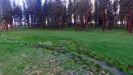 Build Ready Land for Sale in Cottonwood, Idaho! - image 3