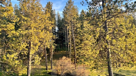 Build Ready Land for Sale in Cottonwood, Idaho! - image 27
