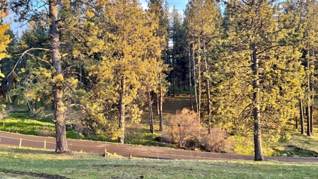 Build Ready Land for Sale in Cottonwood, Idaho! - image 25