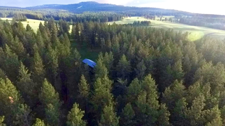 Build Ready Land for Sale in Cottonwood, Idaho! - image 7