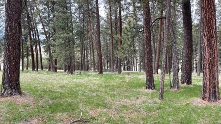 Build Ready Land for Sale in Cottonwood, Idaho! - image 20