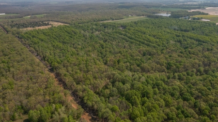 Land For Sale Cedar County Missouri - image 21
