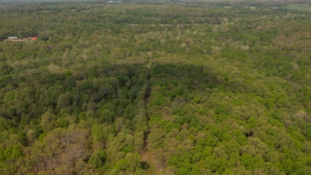 Land For Sale Cedar County Missouri - image 15