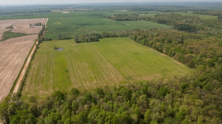 Land For Sale Cedar County Missouri - image 12
