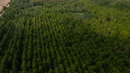 Land For Sale Cedar County Missouri - image 9